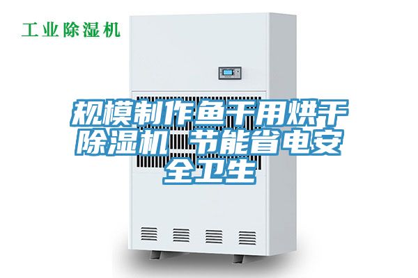 规模制作鱼干用烘干除湿机 节能省电安全卫生