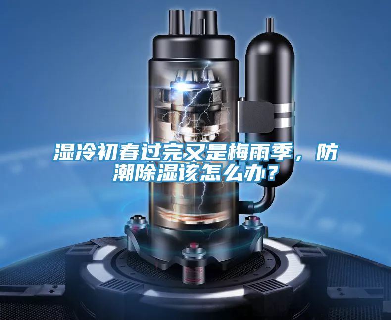 湿冷初春过完又是梅雨季，防潮除湿该怎么办？