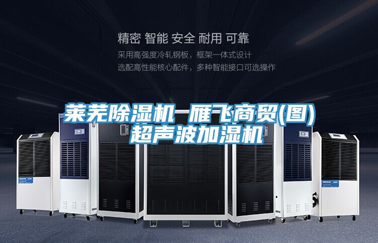 莱芜除湿机 雁飞商贸(图) 超声波加湿机