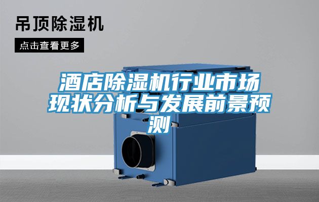 酒店除湿机行业市场现状分析与发展前景预测