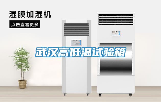 武汉高低温试验箱