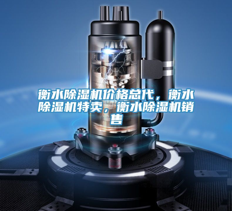 衡水除湿机价格总代，衡水除湿机特卖，衡水除湿机销售