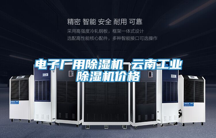 电子厂用除湿机 云南工业除湿机价格