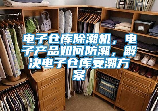 电子仓库除潮机，电子产品如何防潮，解决电子仓库受潮方案
