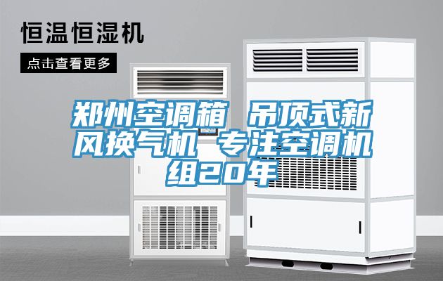 郑州空调箱 吊顶式新风换气机 专注空调机组20年