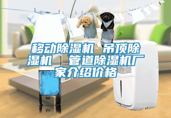 移动除湿机 吊顶除湿机  管道除湿机厂家介绍价格