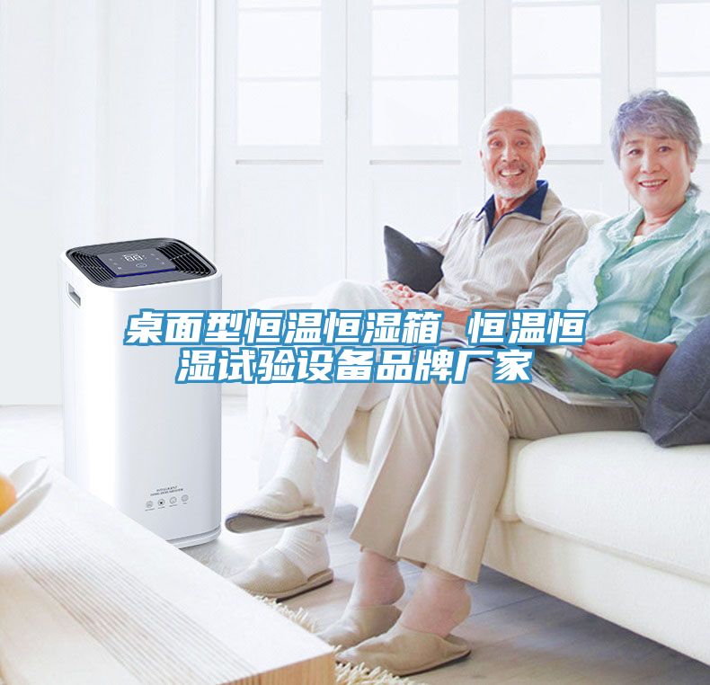 桌面型恒温恒湿箱 恒温恒湿试验设备品牌厂家
