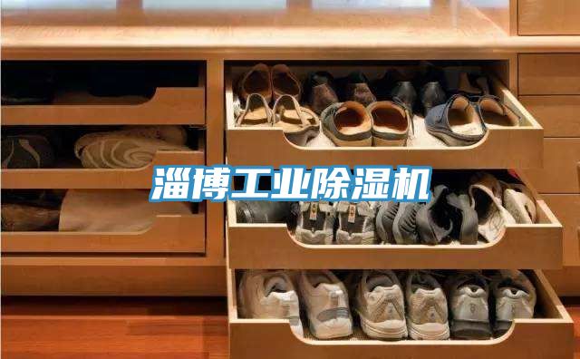 淄博工业除湿机