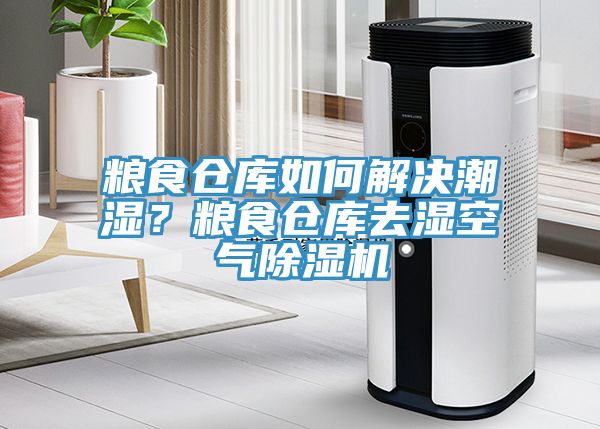 粮食仓库如何解决潮湿？粮食仓库去湿空气除湿机