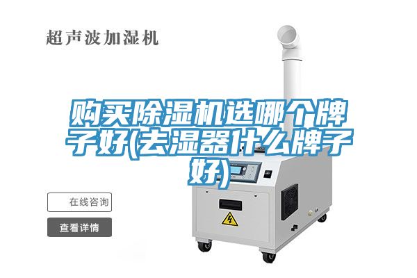 购买除湿机选哪个牌子好(去湿器什么牌子好)