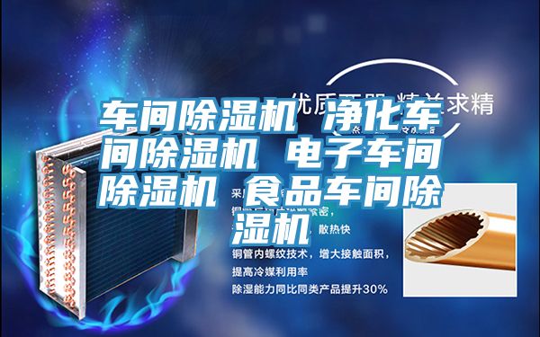 车间除湿机 净化车间除湿机 电子车间除湿机 食品车间除湿机