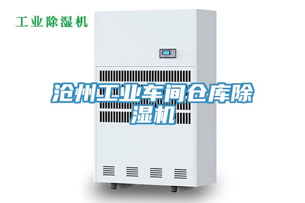 沧州工业车间仓库除湿机