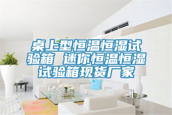 桌上型恒温恒湿试验箱 迷你恒温恒湿试验箱现货厂家