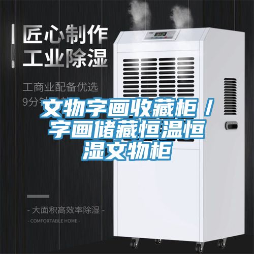 文物字画收藏柜／字画储藏恒温恒湿文物柜
