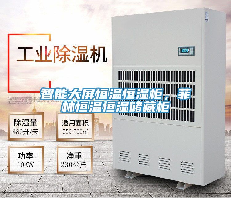 智能大屏恒温恒湿柜，菲林恒温恒湿储藏柜