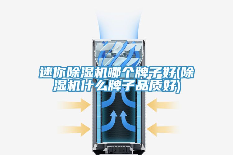 迷你除湿机哪个牌子好(除湿机什么牌子品质好)