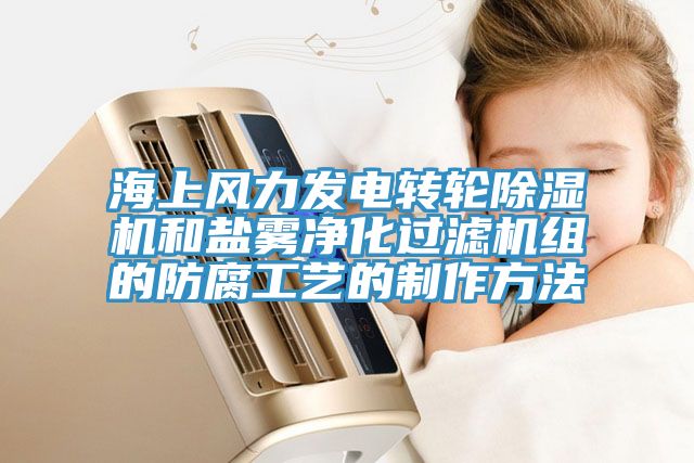 海上风力发电转轮除湿机和盐雾净化过滤机组的防腐工艺的制作方法