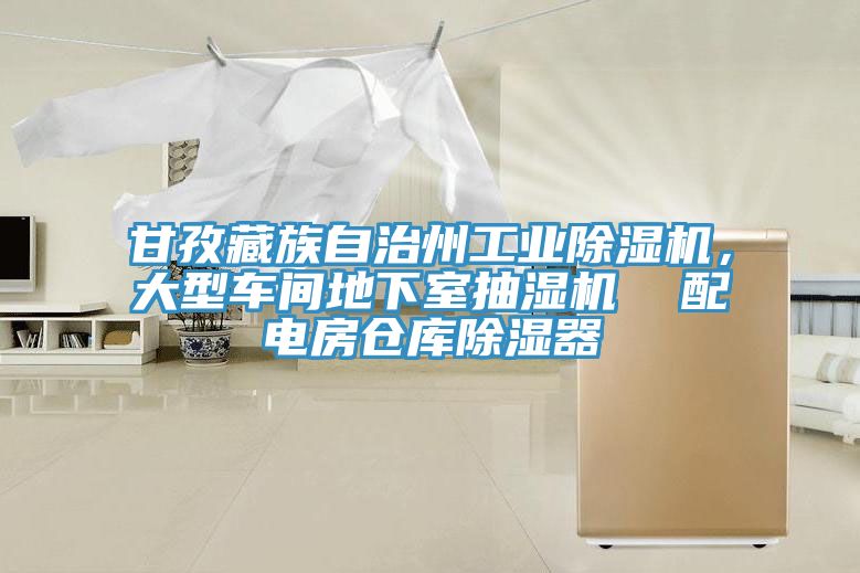 甘孜藏族自治州工业除湿机，大型车间地下室抽湿机  配电房仓库除湿器