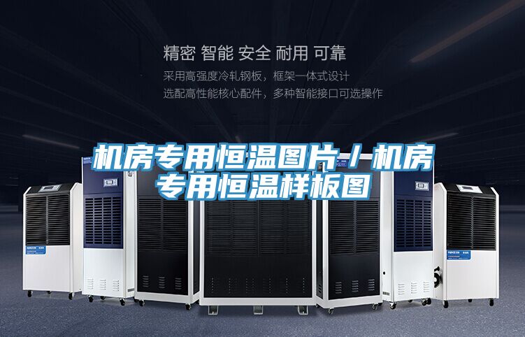 机房专用恒温图片／机房专用恒温样板图