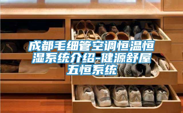 成都毛细管空调恒温恒湿系统介绍-健源舒屋五恒系统