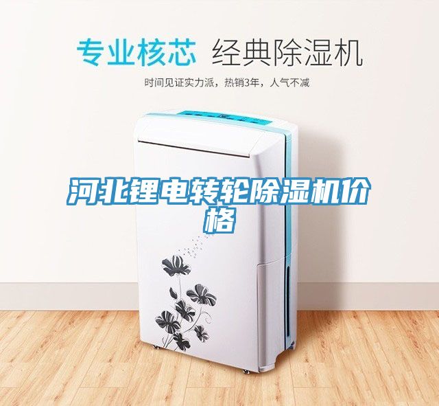 河北锂电转轮除湿机价格