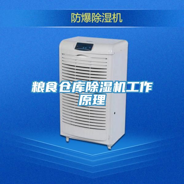 粮食仓库除湿机工作原理