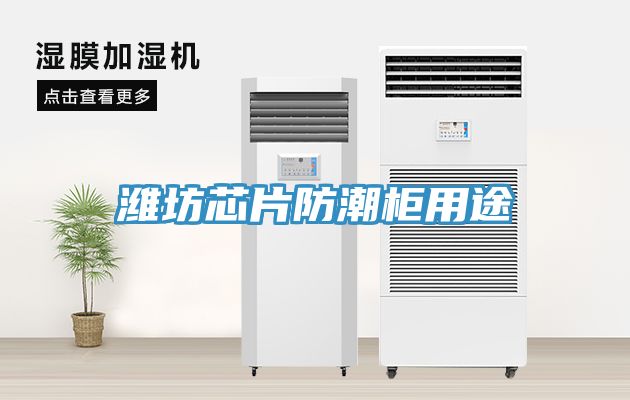 潍坊芯片防潮柜用途