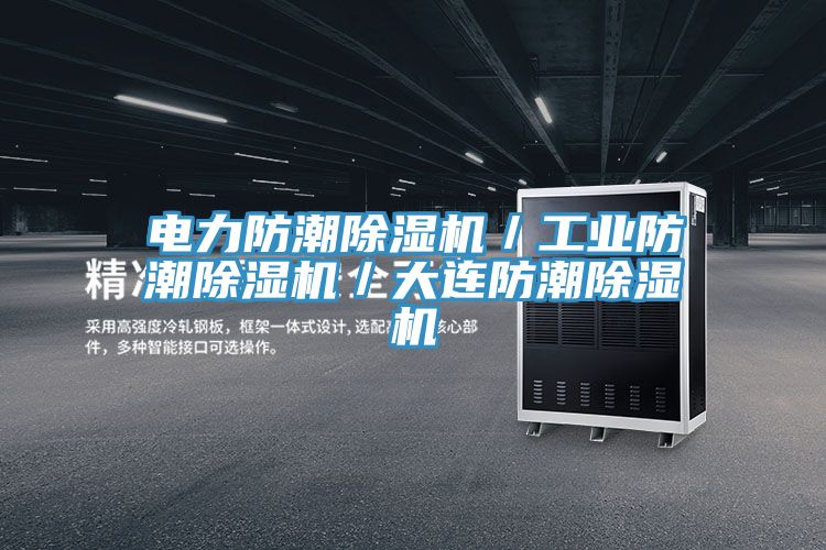 电力防潮除湿机／工业防潮除湿机／大连防潮除湿机