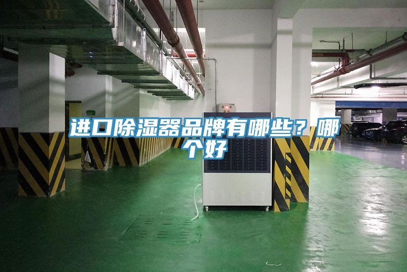进口除湿器品牌有哪些？哪个好