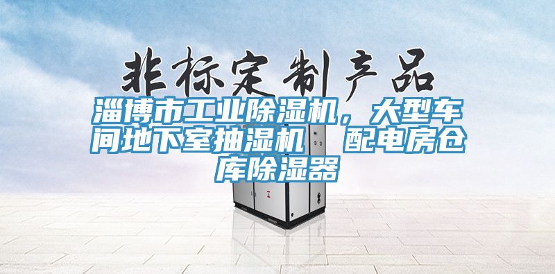 淄博市工业除湿机，大型车间地下室抽湿机  配电房仓库除湿器