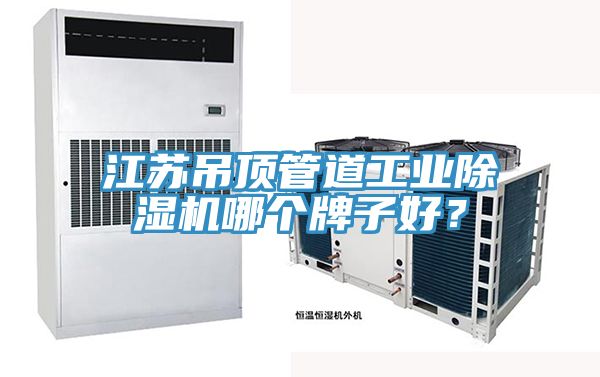 江苏吊顶管道工业除湿机哪个牌子好？
