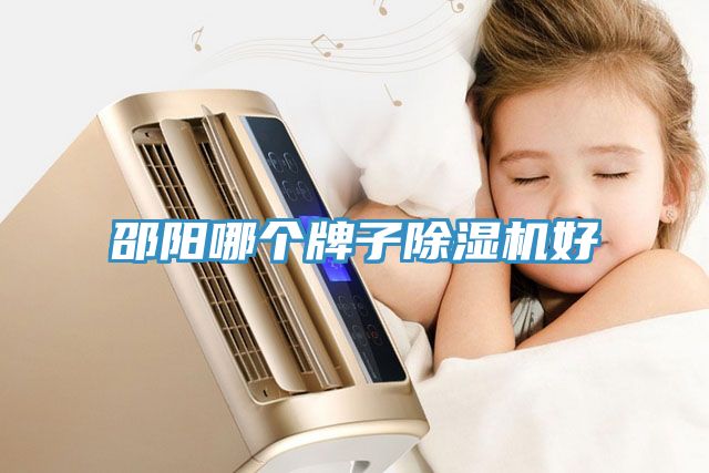 邵阳哪个牌子除湿机好