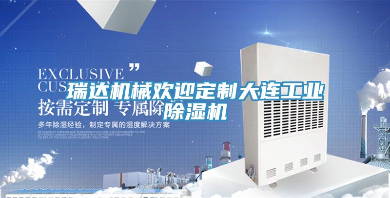 瑞达机械欢迎定制大连工业除湿机