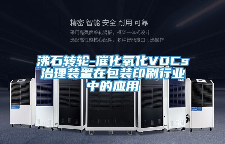 沸石转轮-催化氧化VOCs治理装置在包装印刷行业中的应用