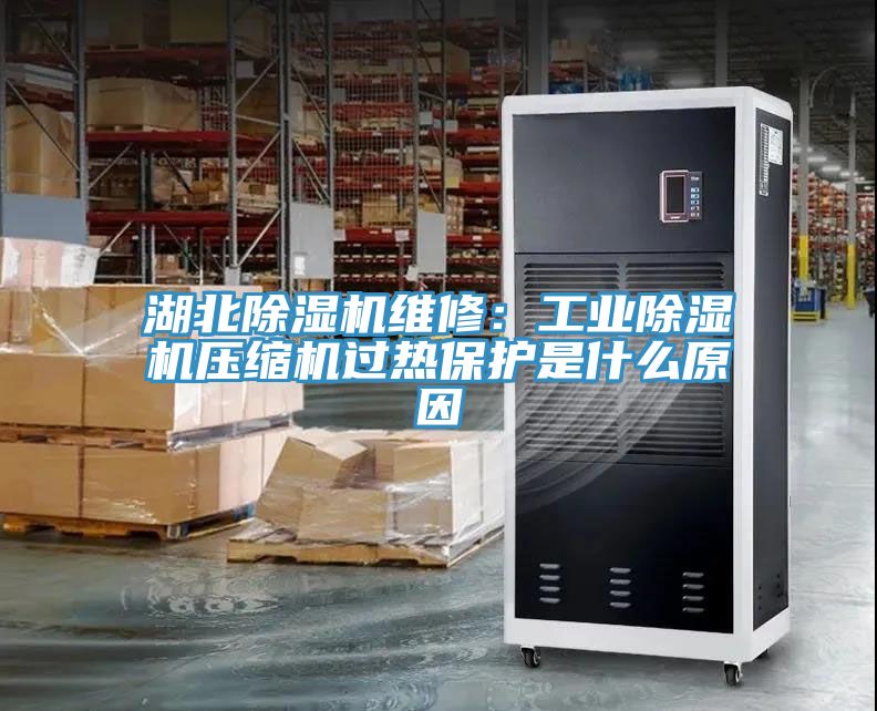 湖北除湿机维修：工业除湿机压缩机过热保护是什么原因