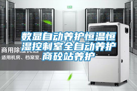 数显自动养护恒温恒湿控制室全自动养护商砼站养护