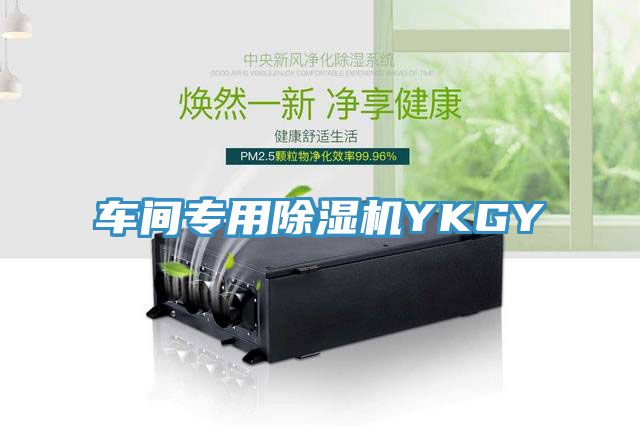 车间专用除湿机YKGY