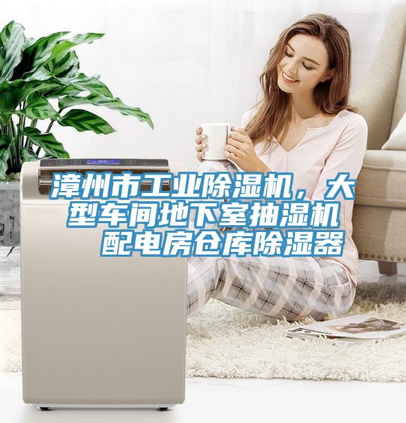 漳州市工业除湿机，大型车间地下室抽湿机  配电房仓库除湿器