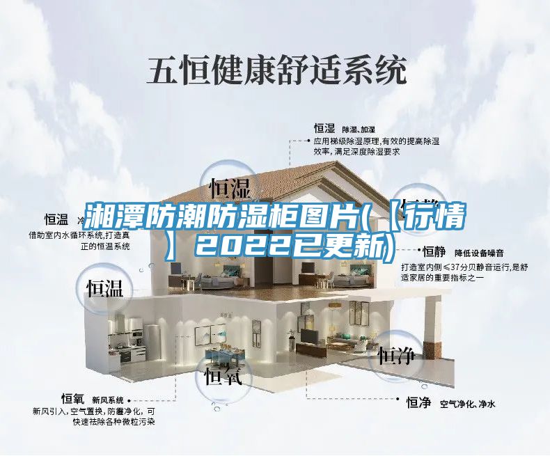 湘潭防潮防湿柜图片(【行情】2022已更新)