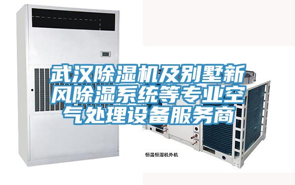 武汉除湿机及别墅新风除湿系统等专业空气处理设备服务商