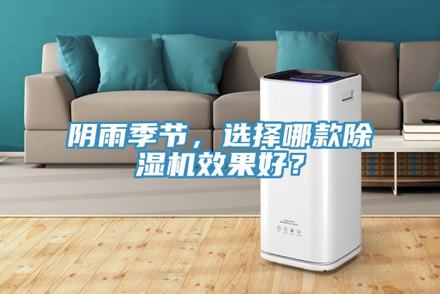阴雨季节，选择哪款除湿机效果好？