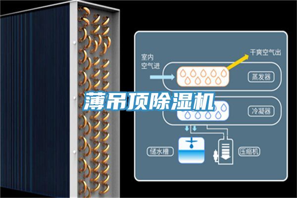 薄吊顶除湿机