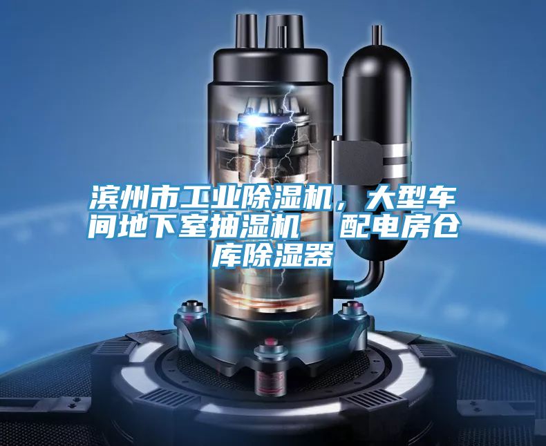 滨州市工业除湿机，大型车间地下室抽湿机  配电房仓库除湿器