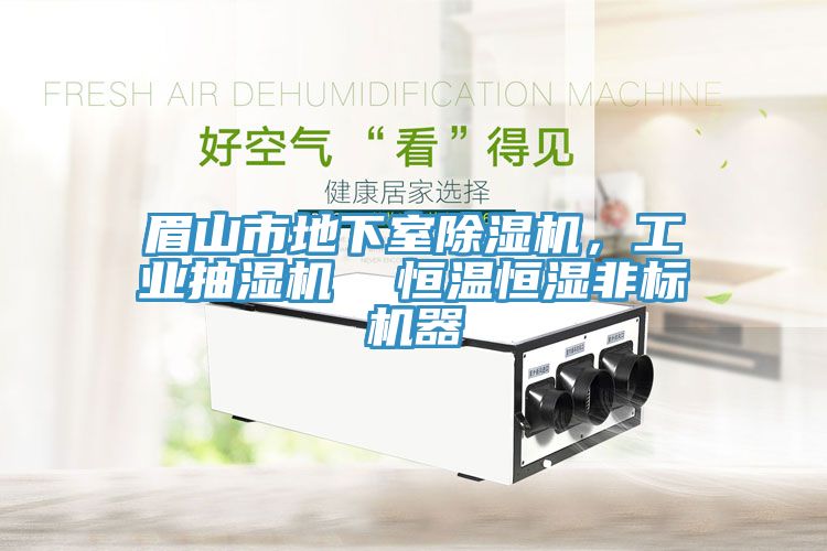 眉山市地下室除湿机，工业抽湿机  恒温恒湿非标机器