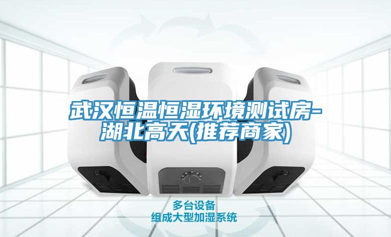 武汉恒温恒湿环境测试房-湖北高天(推荐商家)