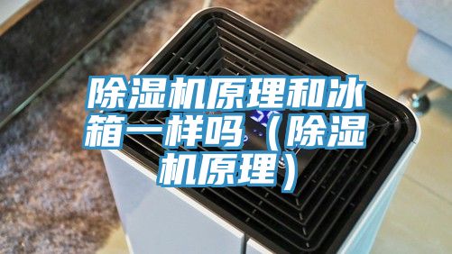 除湿机原理和冰箱一样吗（除湿机原理）