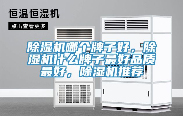 除湿机哪个牌子好，除湿机什么牌子最好品质最好，除湿机推荐