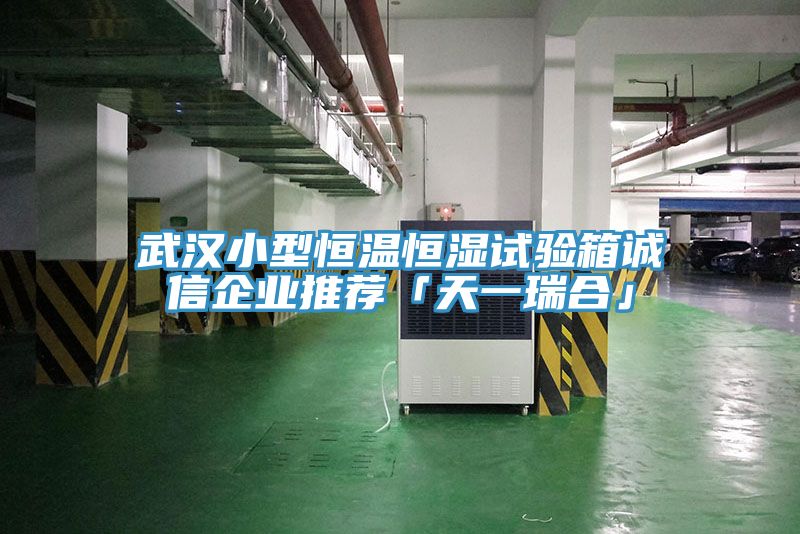 武汉小型恒温恒湿试验箱诚信企业推荐「天一瑞合」