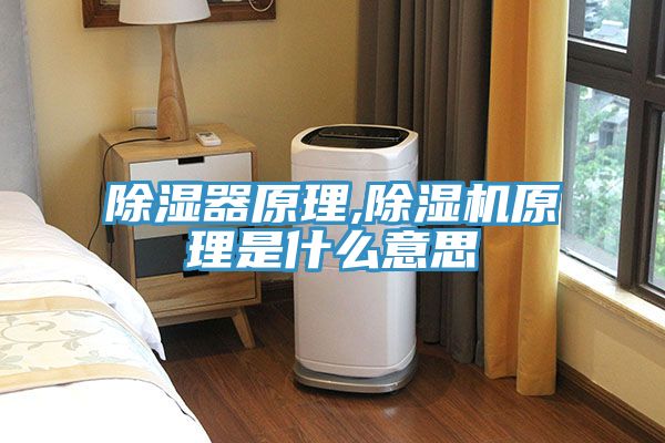 除湿器原理,除湿机原理是什么意思