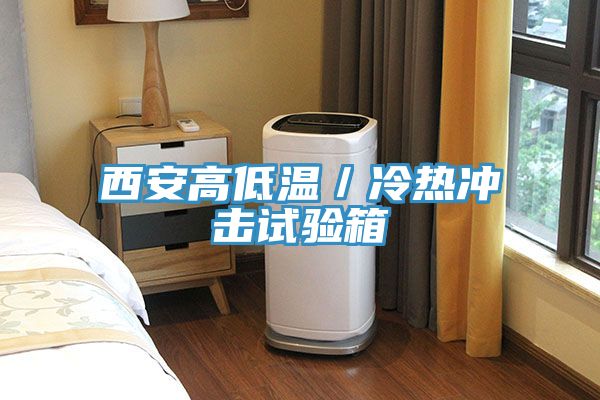 西安高低温／冷热冲击试验箱
